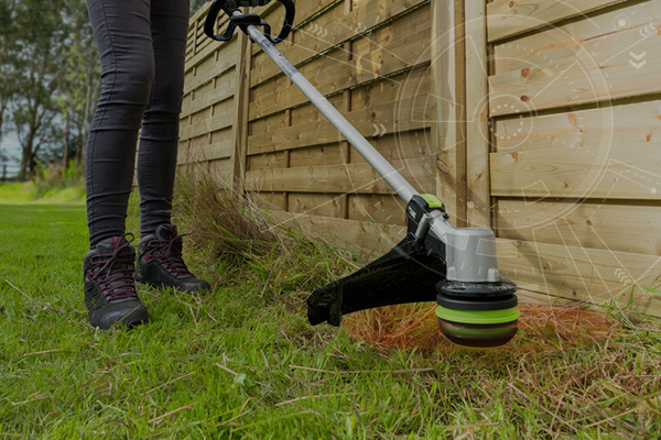 Case study, Adorn Gardening