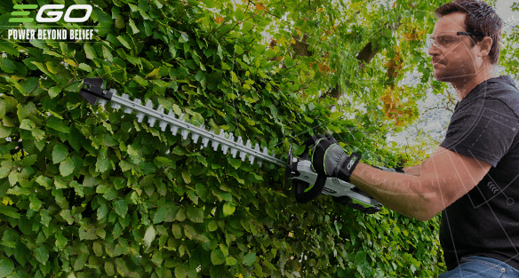 It's not time to cut the hedge yet, but if you have to…